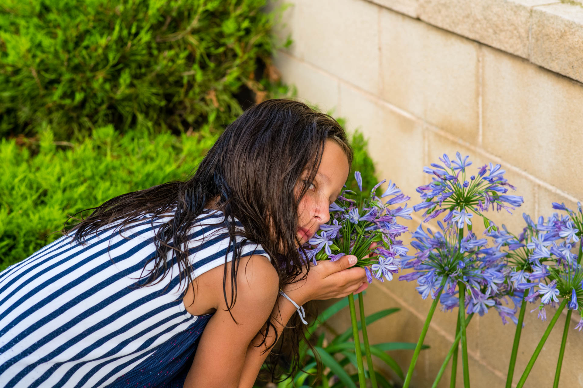 D850  20072018  DSC5229